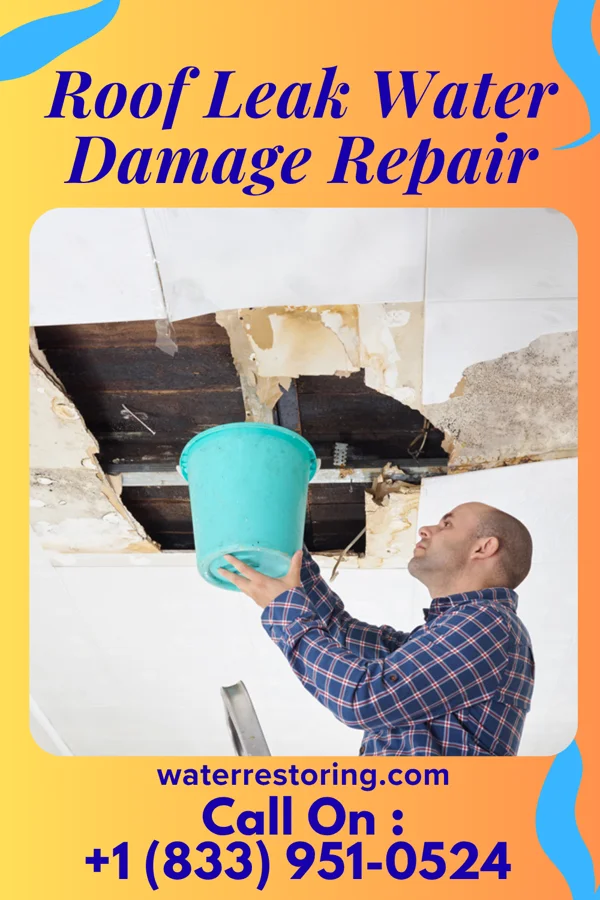 Roof Leak Water Damage Repair in Waterbury, NE